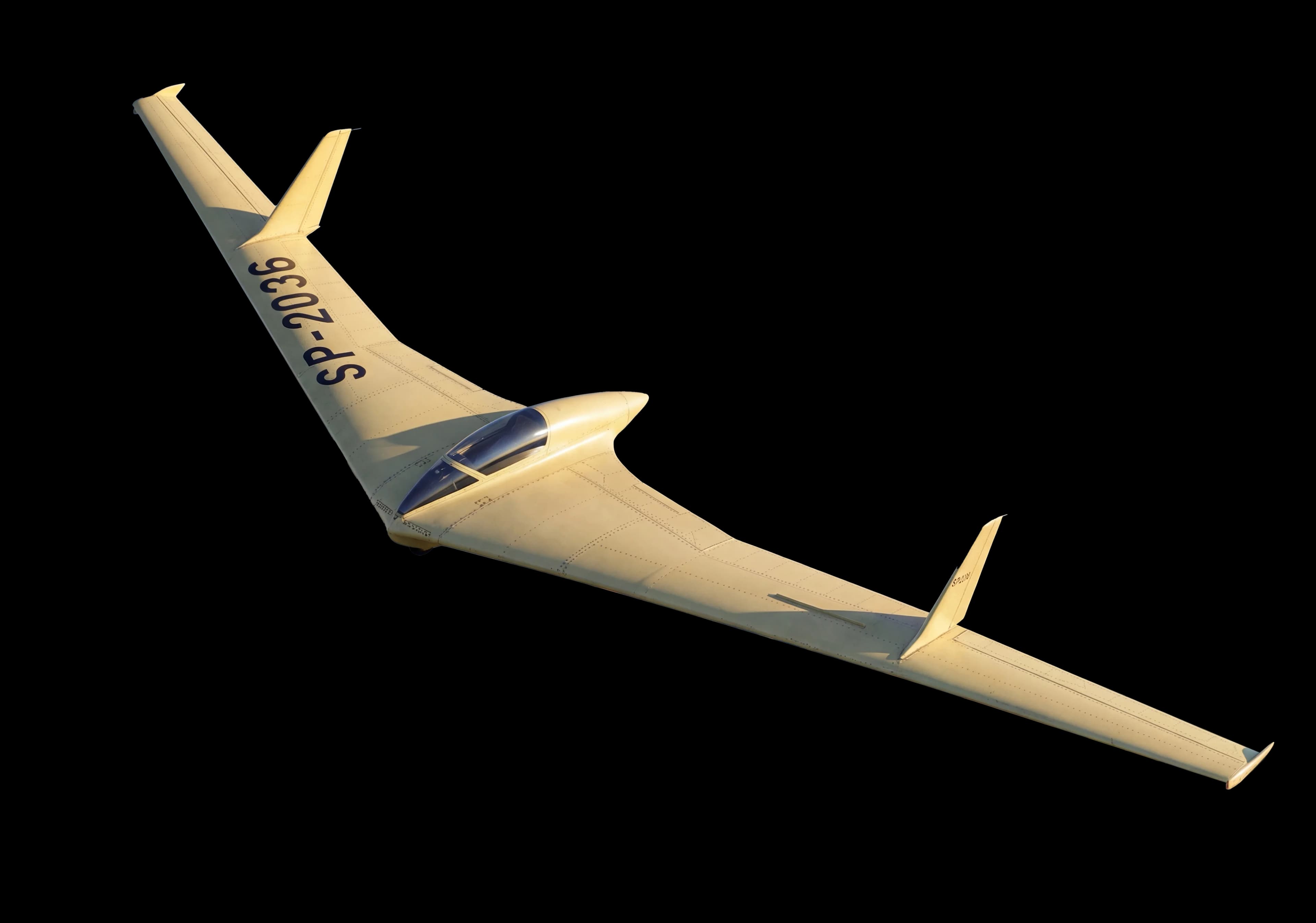 SZD-20 Wampir